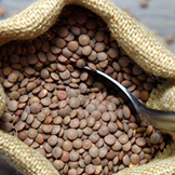 Brown Lentils